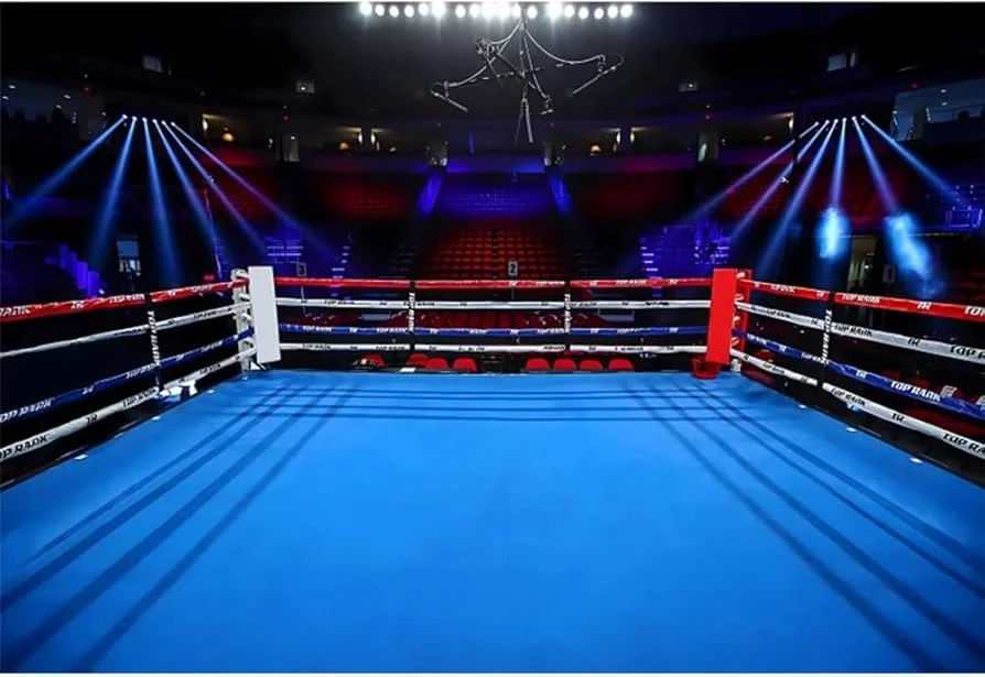 米兰体育拳击竞技场灯光效果